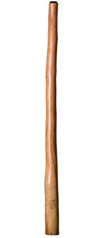 CrookedStixz Didgeridoo (AH181)